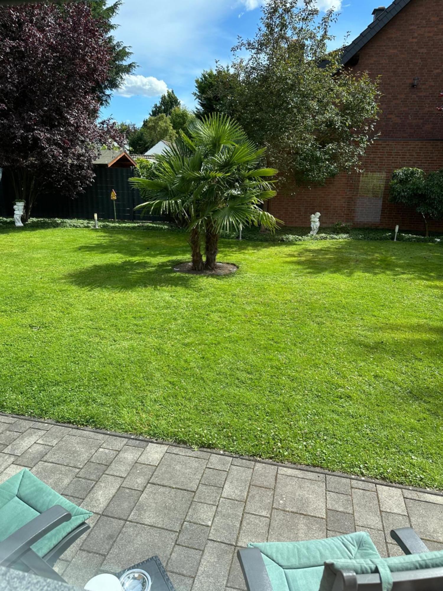 Auszeit Apartment Duesseldorf 外观 照片